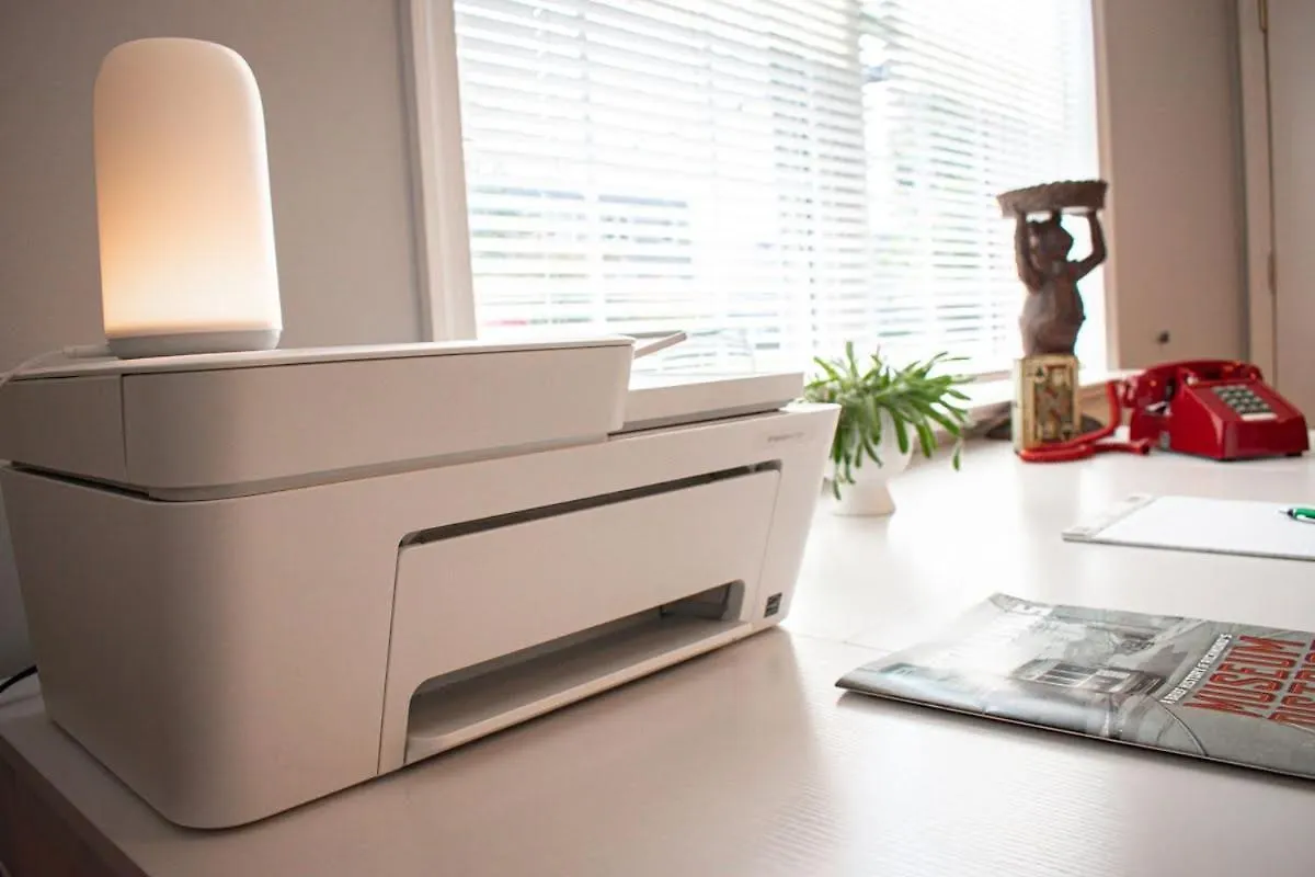 Charming 3Br Apartment In The Heart Of 리치먼드