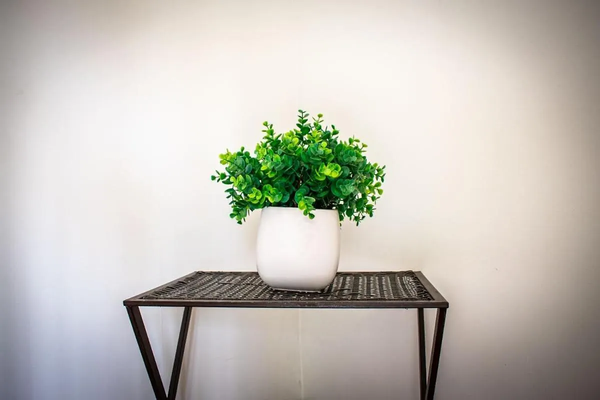 Charming 3Br Apartment In The Heart Of 리치먼드
